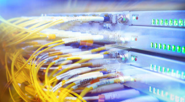 Technical Support & Consultation